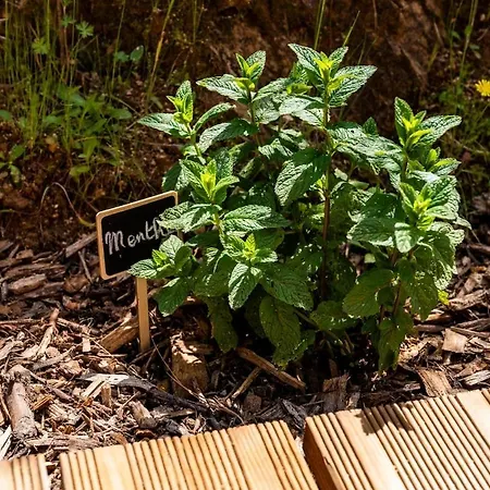 Le 20min Puydufou * La Meilleraie-Tillay